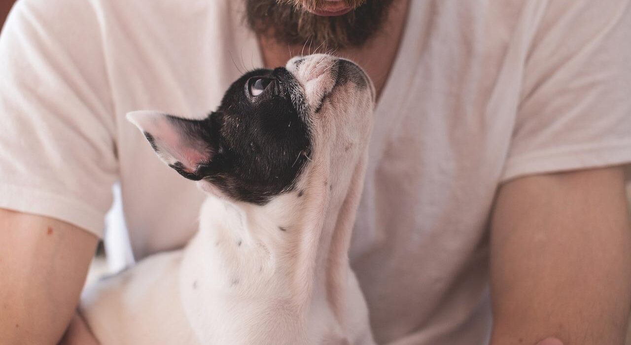 5 Things Pet Owner Should Do to Help Their Pet Live Longer